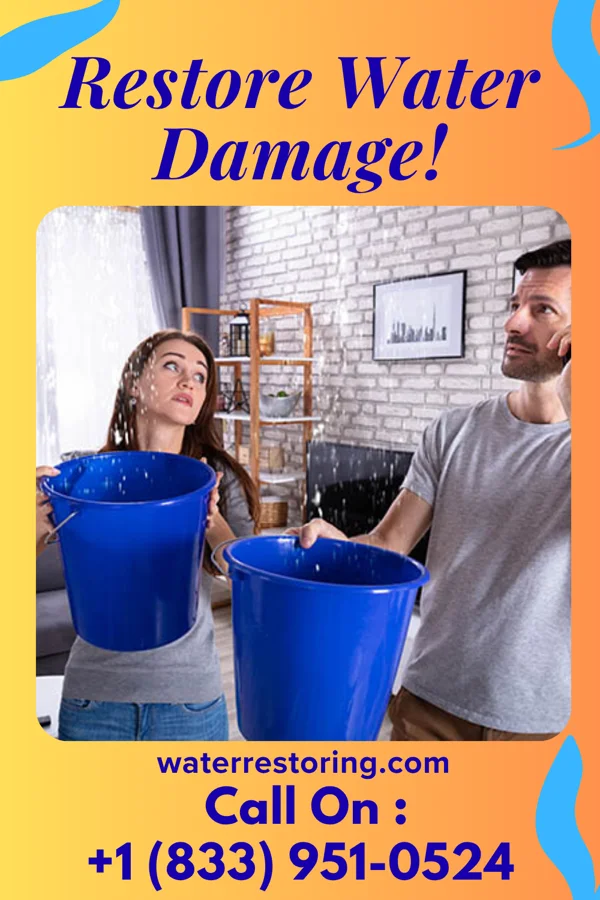 water restoration Ultimate Storm Damage Professionals South Floral Park