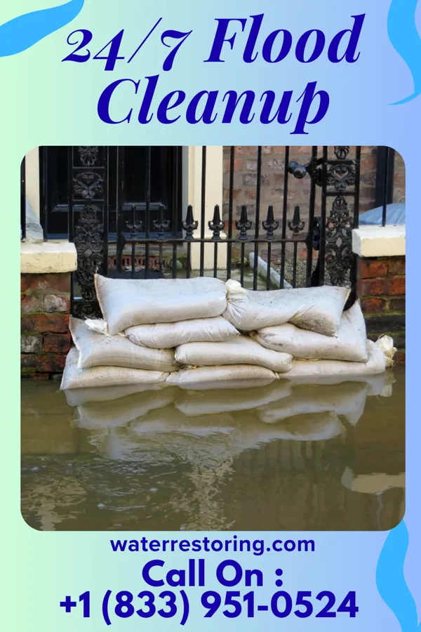 24/7 Flood Cleanup in South Floral Park, NY