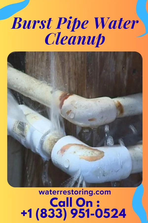 Burst Pipe Water Cleanup in South Floral Park, NY