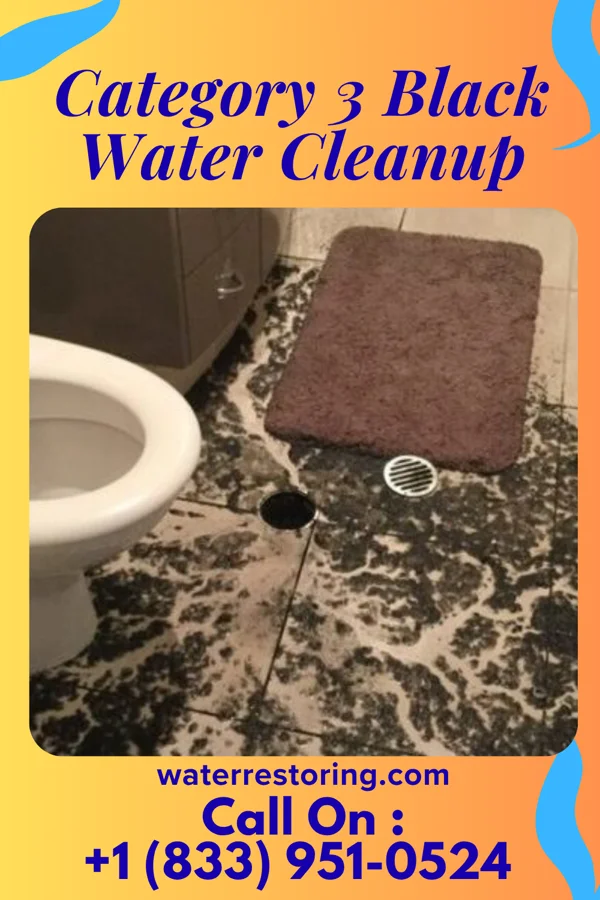 Category 3 Black Water Cleanup in South Floral Park, NY