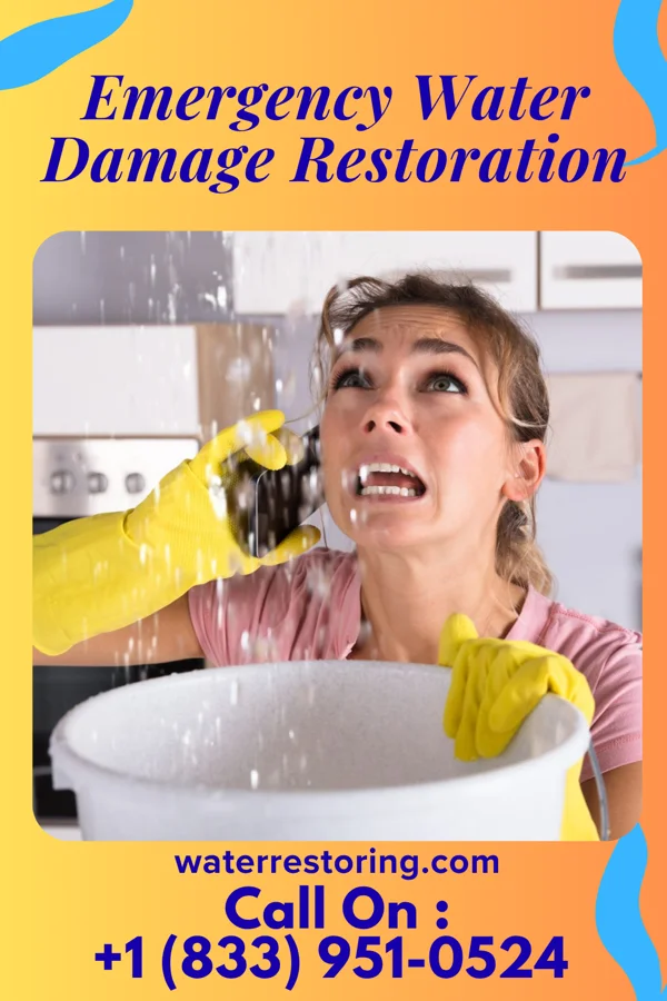Emergency Water Damage Restoration in South Floral Park, NY