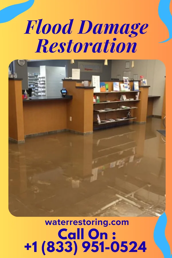 Flood Damage Restoration in South Floral Park, NY