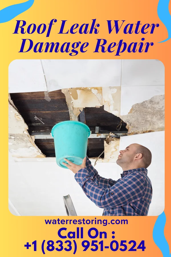 Roof Leak Water Damage Repair in South Floral Park, NY