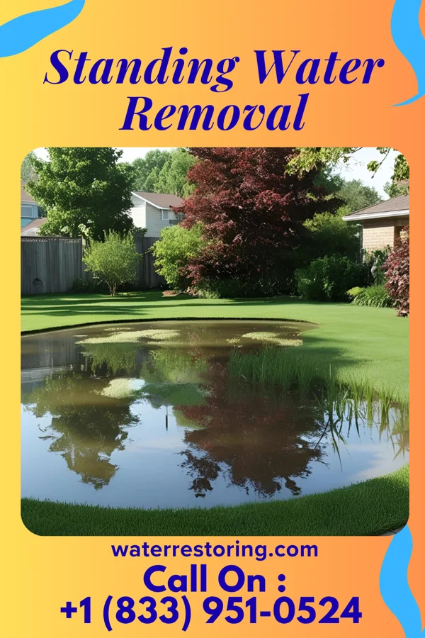 Standing Water Removal in South Floral Park, NY